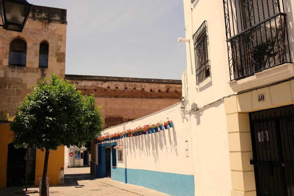 Calle San Basilio - Patios. Aparcamiento Gratis Кордова Екстер'єр фото